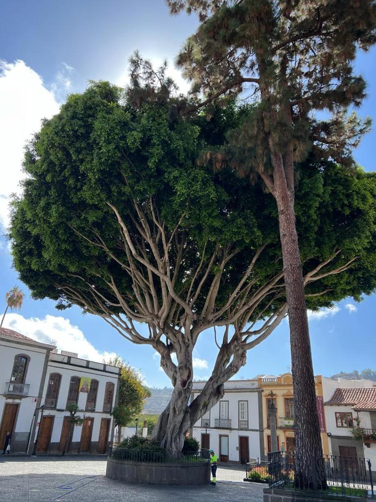 Appartamento Casa En Teror Centrica Turismo De Ciudad Y Bosques Esterno foto
